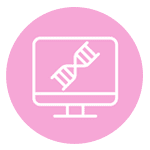 Preimplantation genetic screening (PGS)