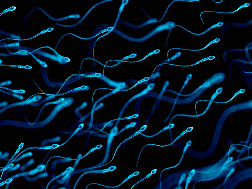 Partner and Donor Artificial Insemination Clínica JOFREFIV